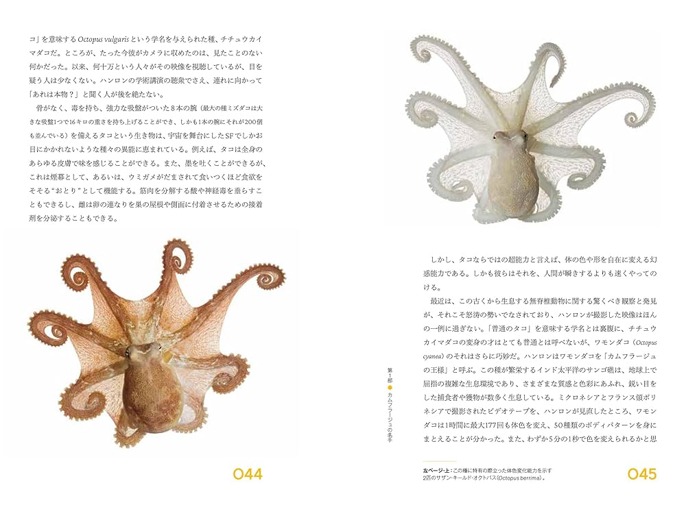 希少品！ 「オクトパス」 カリフォルニア物語（説明欄要確認） 試験にココが出る！乙種第4類危険物取扱者 教科書＋実践問題 第4